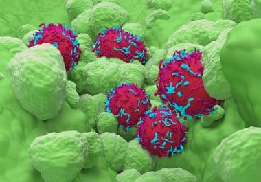 A New HER2 Inhibitor Approved for Lung Cancer