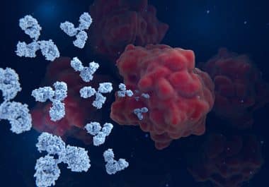 A New First-line Option for Metastatic Breast Cancer