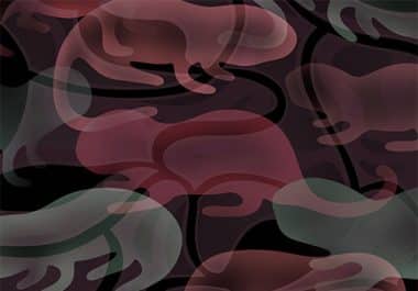 Editors’ Picks, January 2026: Naked Mole Rat’s Cancer Resistance, the Impact of Tissue and Liquid Biopsy Concordance, and More