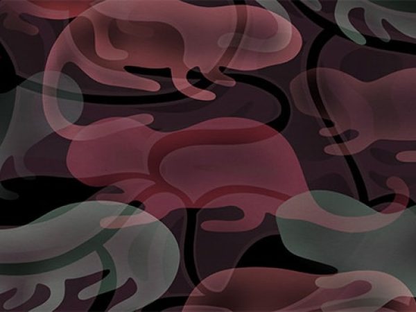 Editors’ Picks, January 2026: Naked Mole Rat’s Cancer Resistance, the Impact of Tissue and Liquid Biopsy Concordance, and More