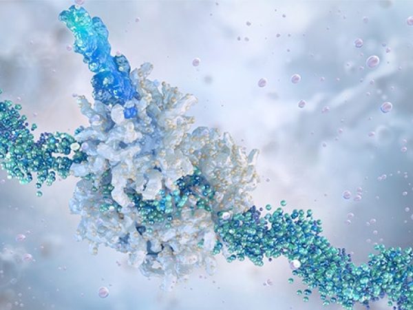 What Are Fusion Proteins in Cancer?