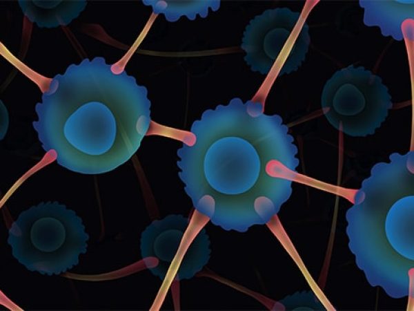 Editors’ Picks, February 2026: FDA’s Accelerated Approval Pathway, Overcoming Resistance to KRAS Inhibition, and More