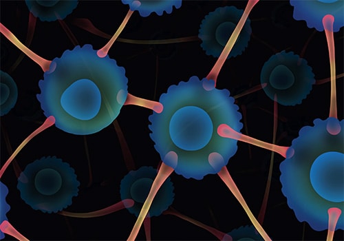 Editors’ Picks, February 2026: FDA’s Accelerated Approval Pathway, Overcoming Resistance to KRAS Inhibition, and More