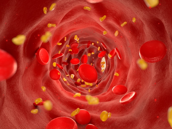 Progress Against Cancer