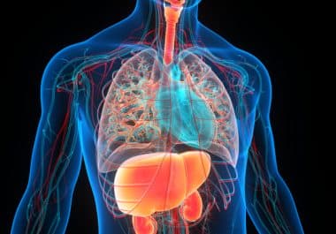 The Week in Cancer News: Metabolic Conditions and Cord Blood Transplants