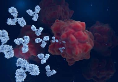 The Week in Cancer News: HER2-targeted Therapy and Blood Clot Prevention