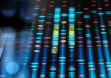 Can the CYP2D6 Gene Affect Tamoxifen’s Effectiveness?