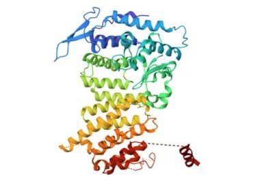 From Bench to Bedside: How a Discovery About Menin Led to New Treatments for Acute Myeloid Leukemia