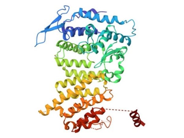 From Bench to Bedside: How a Discovery About Menin Led to New Treatments for Acute Myeloid Leukemia