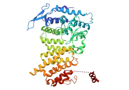 From Bench to Bedside: How a Discovery About Menin Led to New Treatments for Acute Myeloid Leukemia