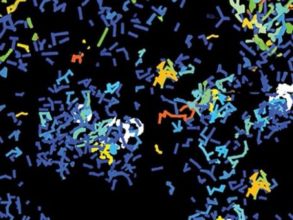 Uncommon Cancers, Common Goals: Overcoming the Challenges of Rare Cancer Research