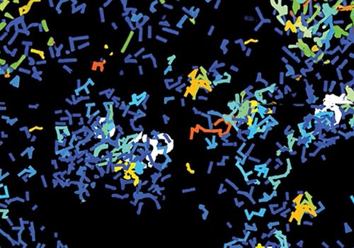 Uncommon Cancers, Common Goals: Overcoming the Challenges of Rare Cancer Research