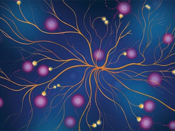 Editors’ Picks, June 2026: Preventing Colorectal Cancer, Targeting Neural Cross-talk to Stop Glioblastoma Recurrence, and More