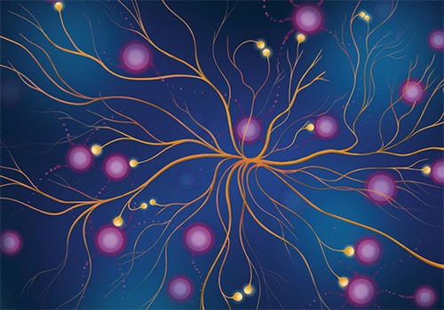 Editors’ Picks, June 2026: Preventing Colorectal Cancer, Targeting Neural Cross-talk to Stop Glioblastoma Recurrence, and More