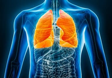 The Week in Cancer News: Transplants for Lung Cancer