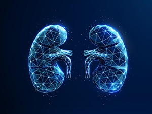 Belzutifan inhibits HIF-2α to reduce the risk of kidney cancer recurrence after surgery