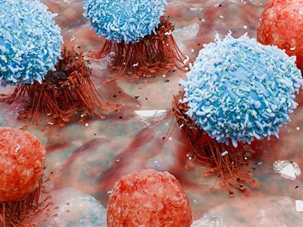 Driving CAR T-cell Therapy in New Directions