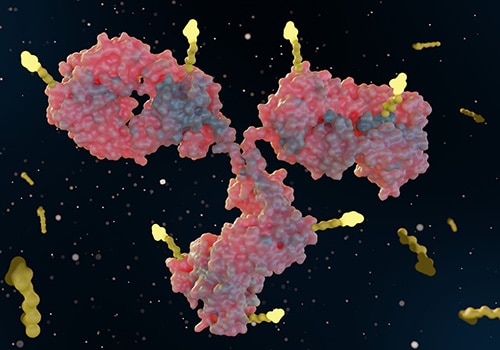 What Are Antibody-drug Conjugates?