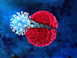 A virus targeting and destroying a cancer cell.