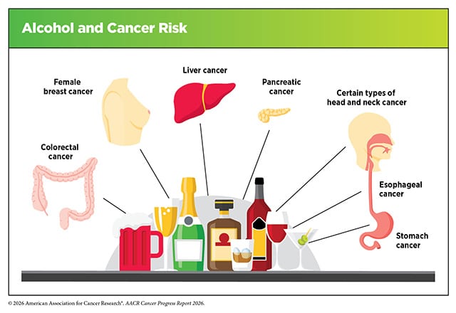 Alcohol increases the risk of colorectal, female breast, liver, pancreatic, stomach, esophageal, and certain types of head and neck cancer.