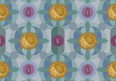 Editors’ Picks, September 2026: Drug Resistance, Breast Cancer Treatment, COVID-19 and Cancer Care, and More