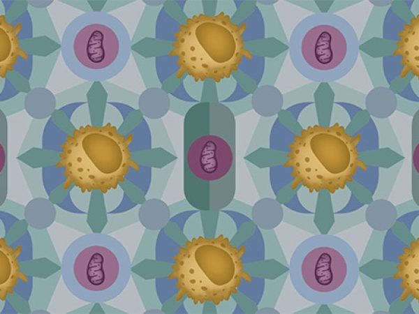 Editors’ Picks, September 2026: Drug Resistance, Breast Cancer Treatment, COVID-19 and Cancer Care, and More