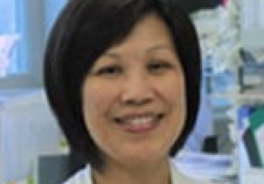 Irene O.L. Ng, MBBS, MD, PhD