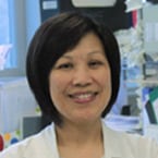 Irene O.L. Ng, MBBS, MD, PhD