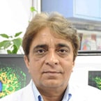 Anil K. Suri, PhD