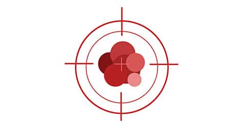 Advancing Targeted Approaches in Breast Cancer Care
