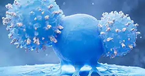 Treating Triple-Negative Breast Cancer