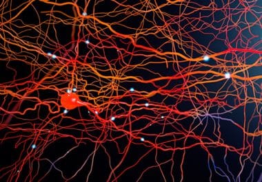 Striking a Nerve in Pancreatic Cancer: Unraveling the Crosstalk Between Tumor Cells and Neurons