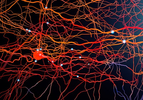 Striking a Nerve in Pancreatic Cancer: Unraveling the Crosstalk Between Tumor Cells and Neurons